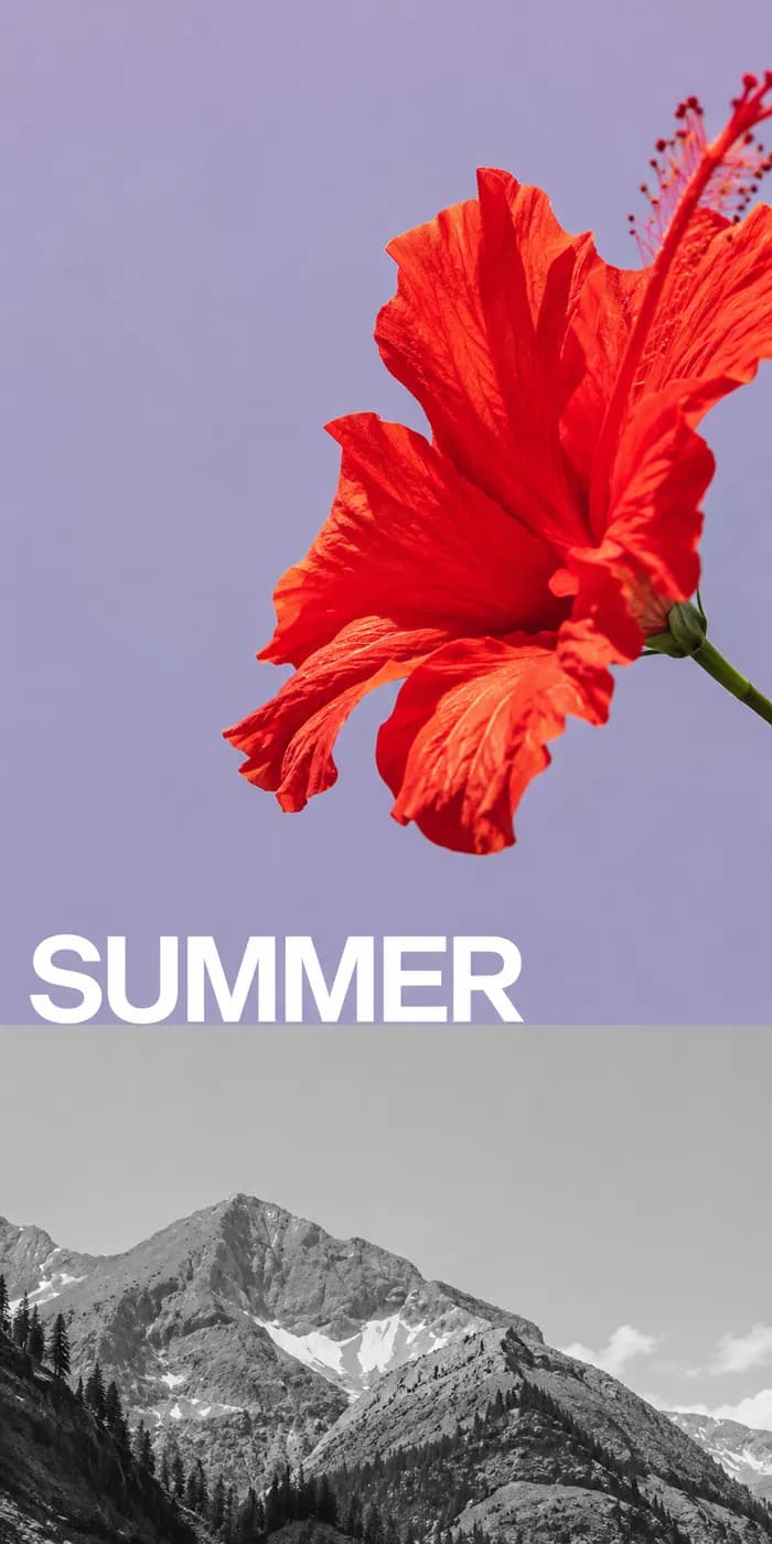 Scarlet hibiscus on lilac above a monochrome mountain range