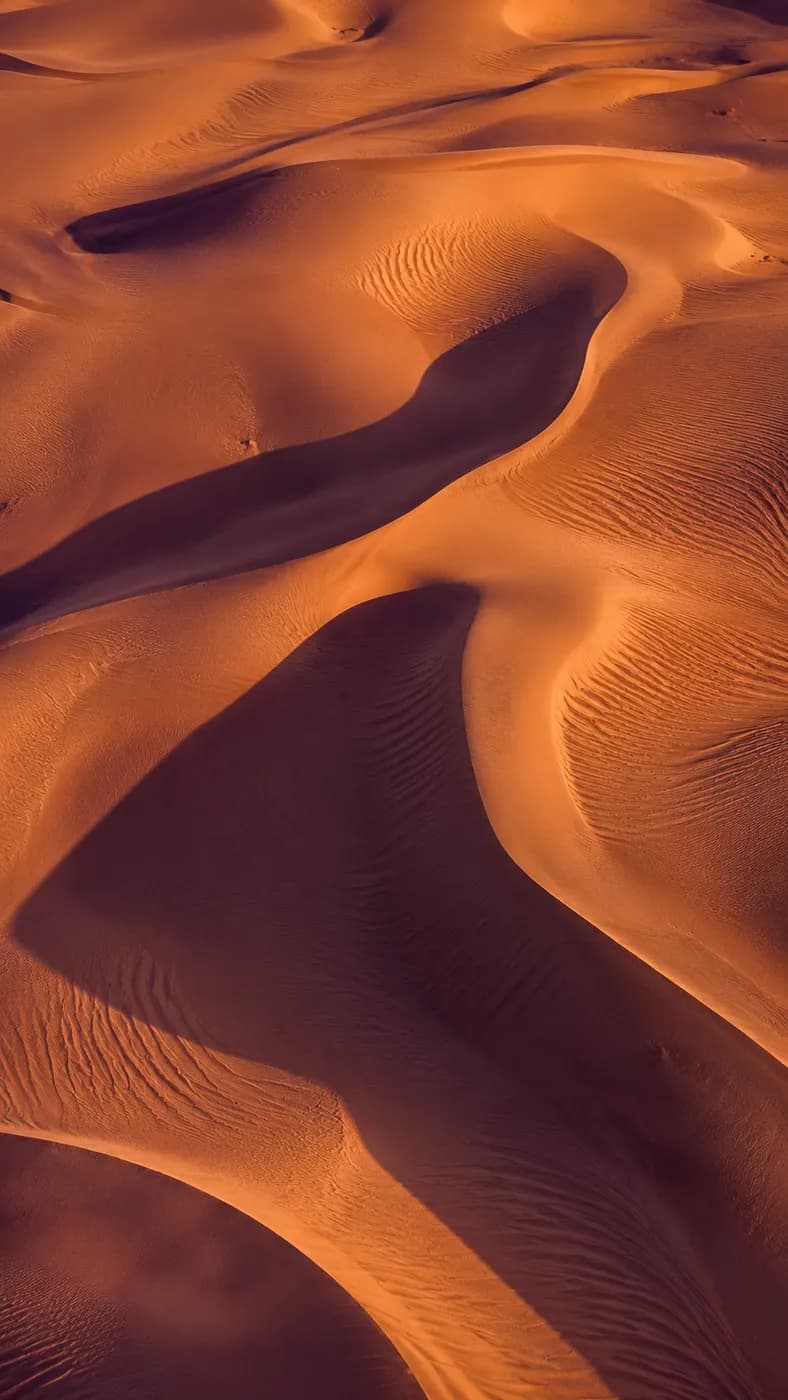 Aerial view of sunlit desert dunes